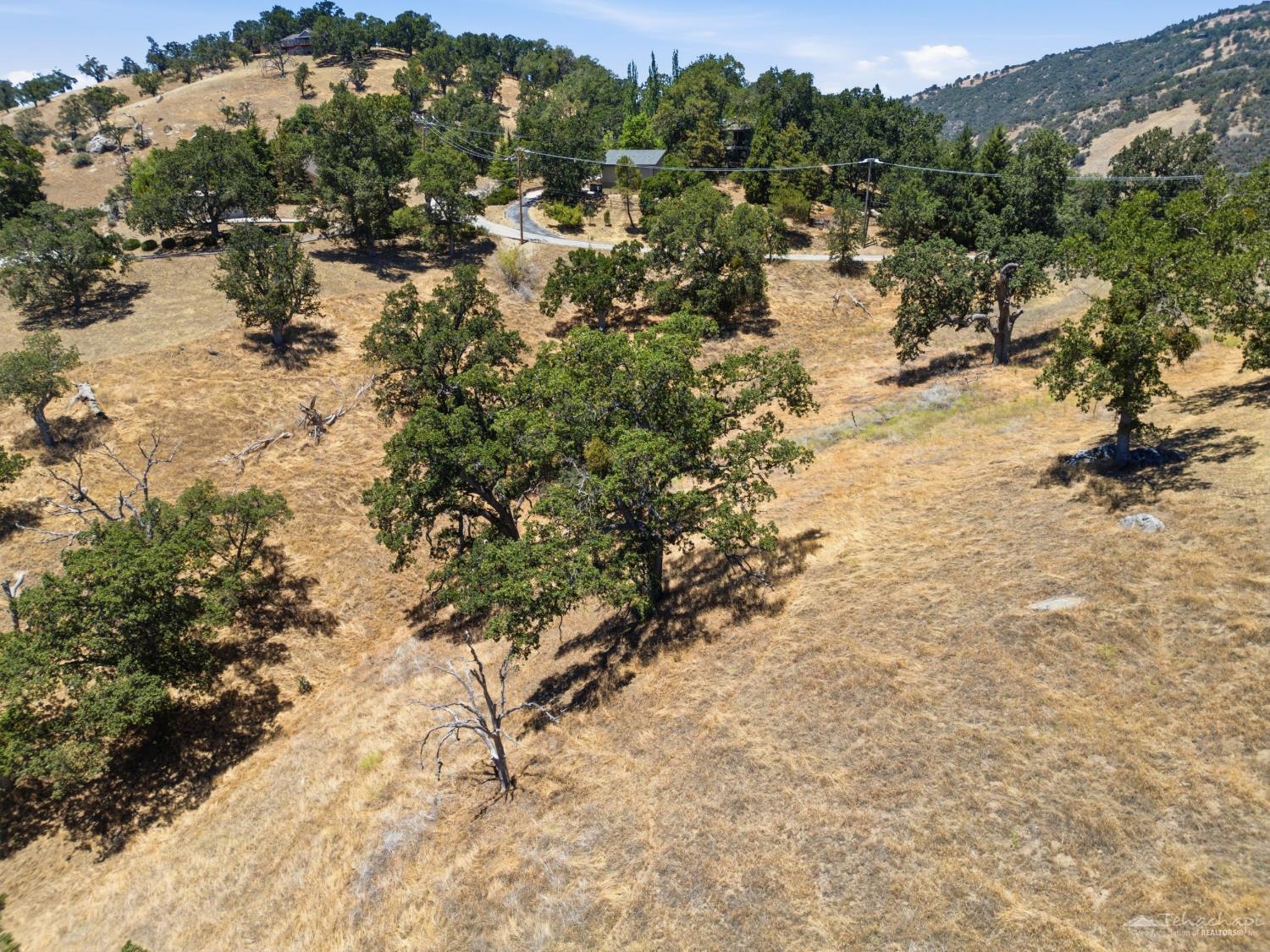 Rolling Oak Drive photo 23