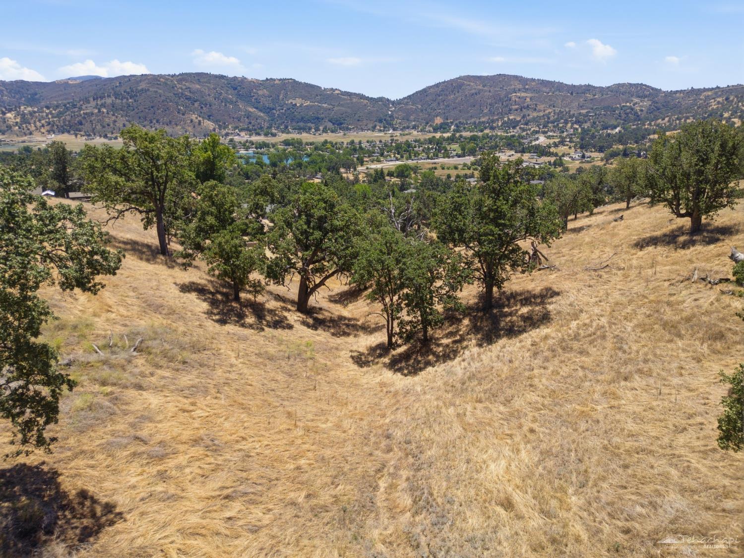Rolling Oak Drive photo 3