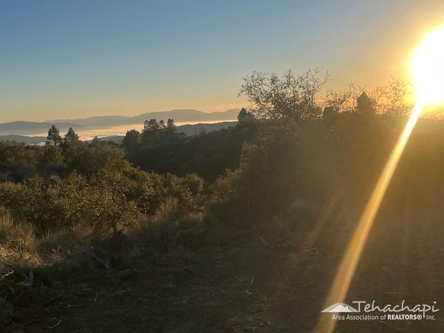 Jacaranda Drive, Tehachapi
