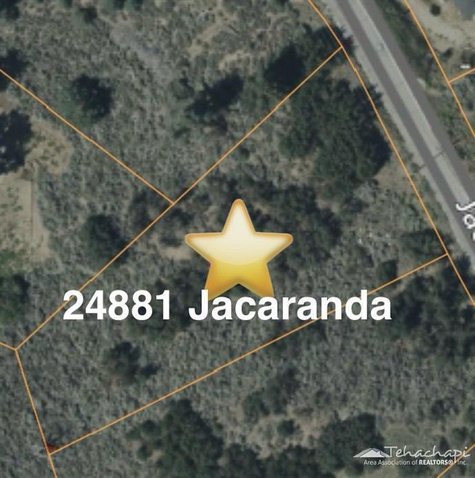 Jacaranda Drive photo 2