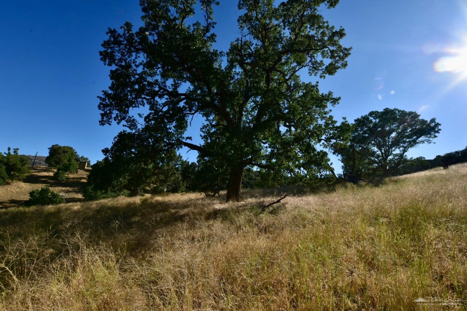 Parke Court, Bear Valley Springs