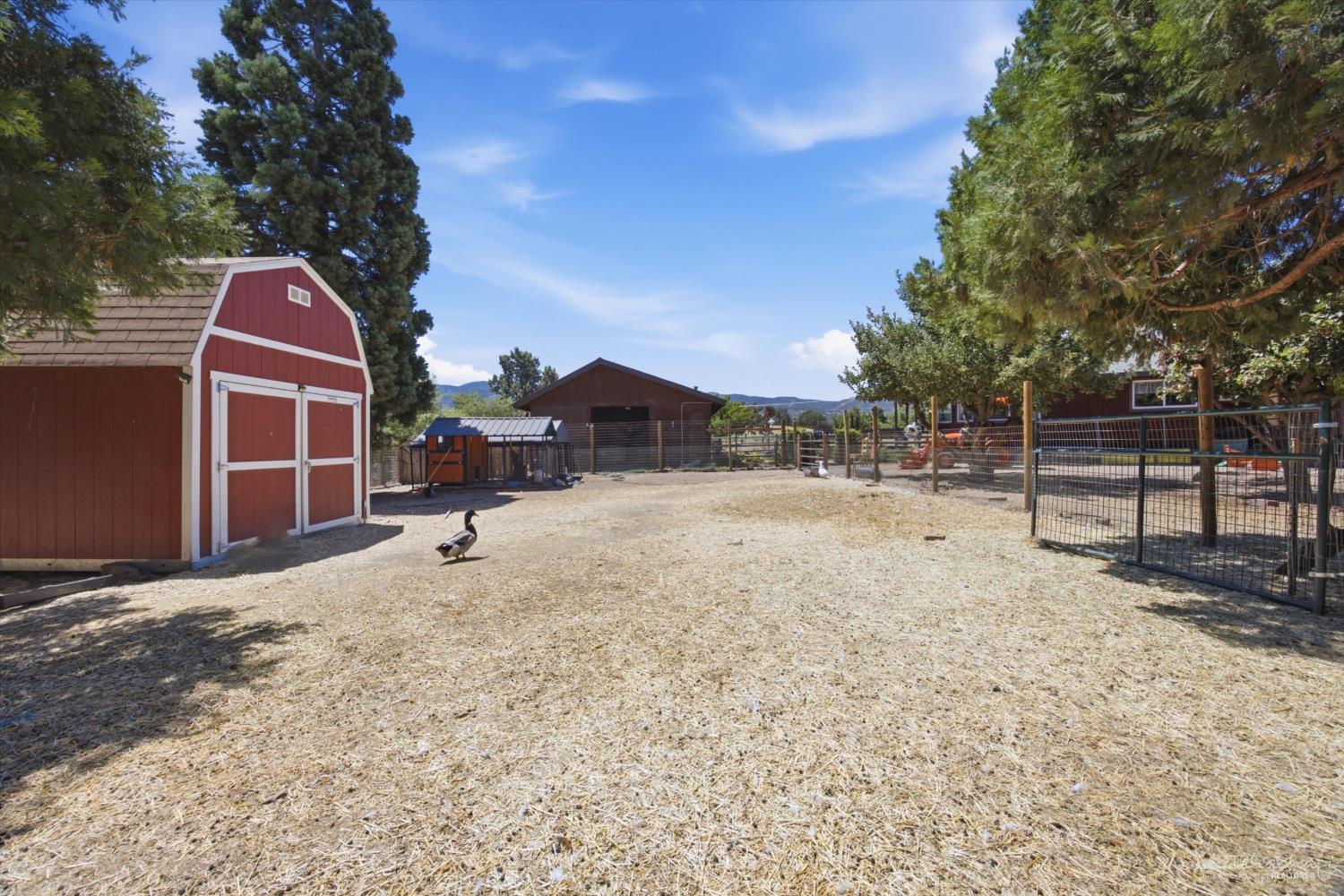 Old Town Road photo 5