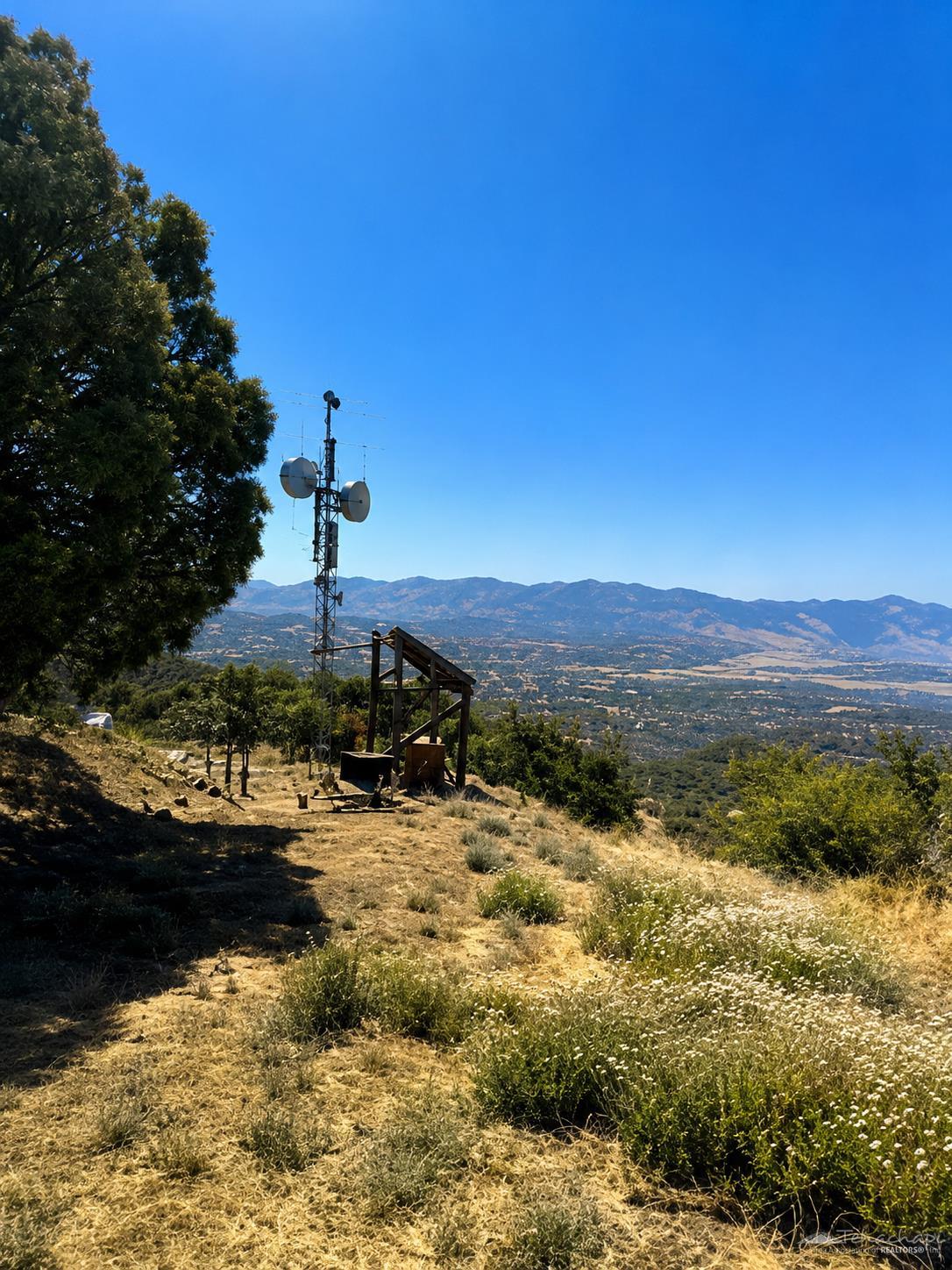 Pine Ridge Road photo 6