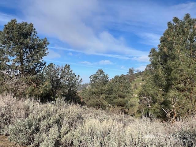 Buckthorne Court, Bear Valley Springs