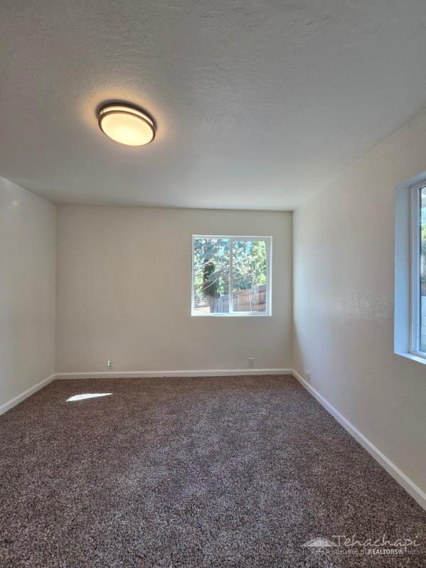 Arlington Place photo 17