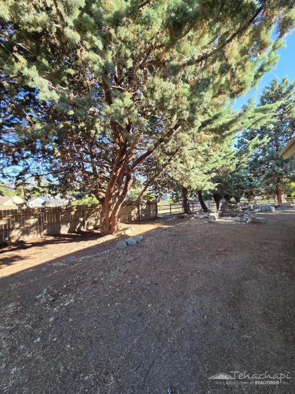 Arlington Place photo 24