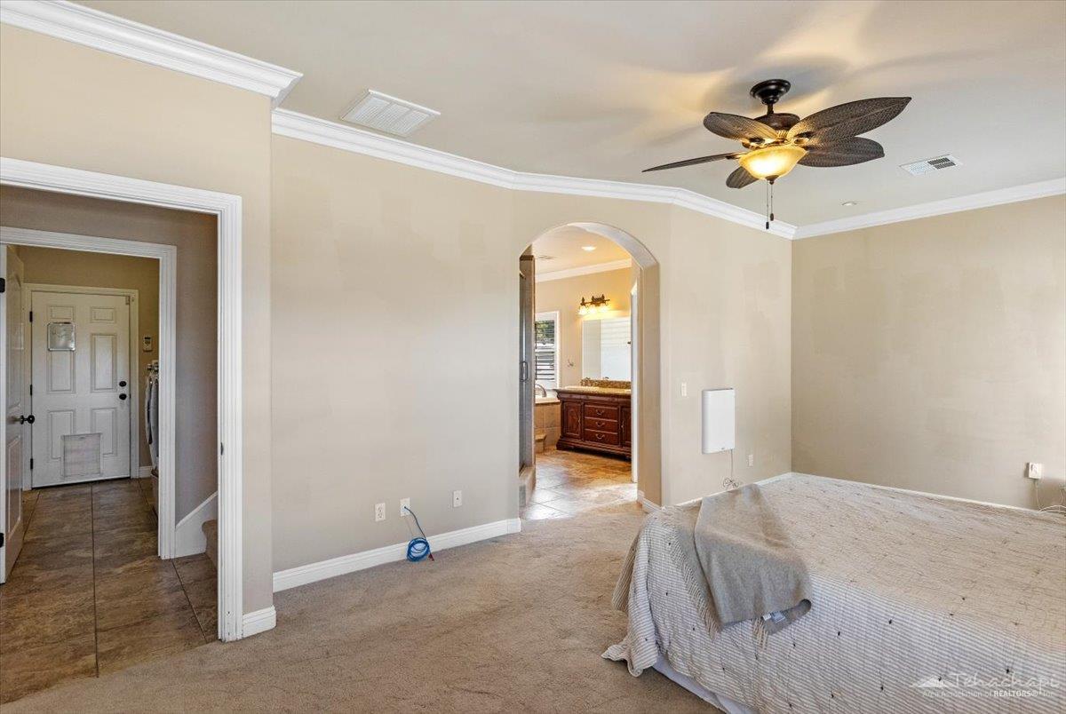 Jacaranda Drive photo 20