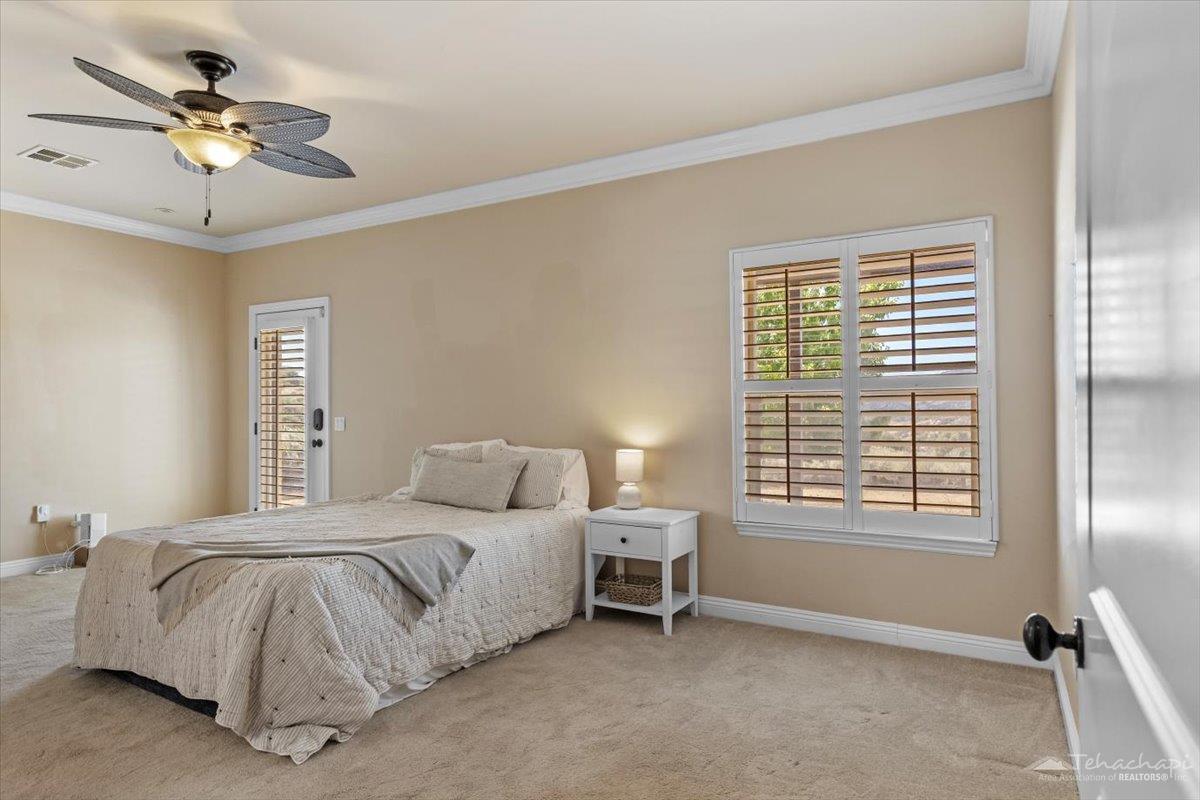 Jacaranda Drive photo 19