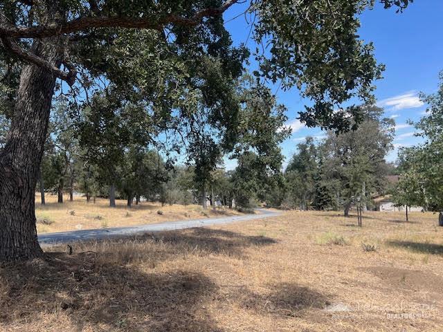 St. Moritz Drive photo 2