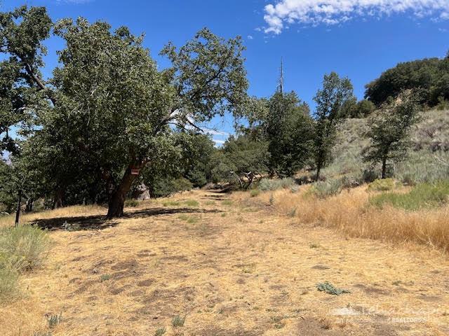 St. Moritz Drive photo 2