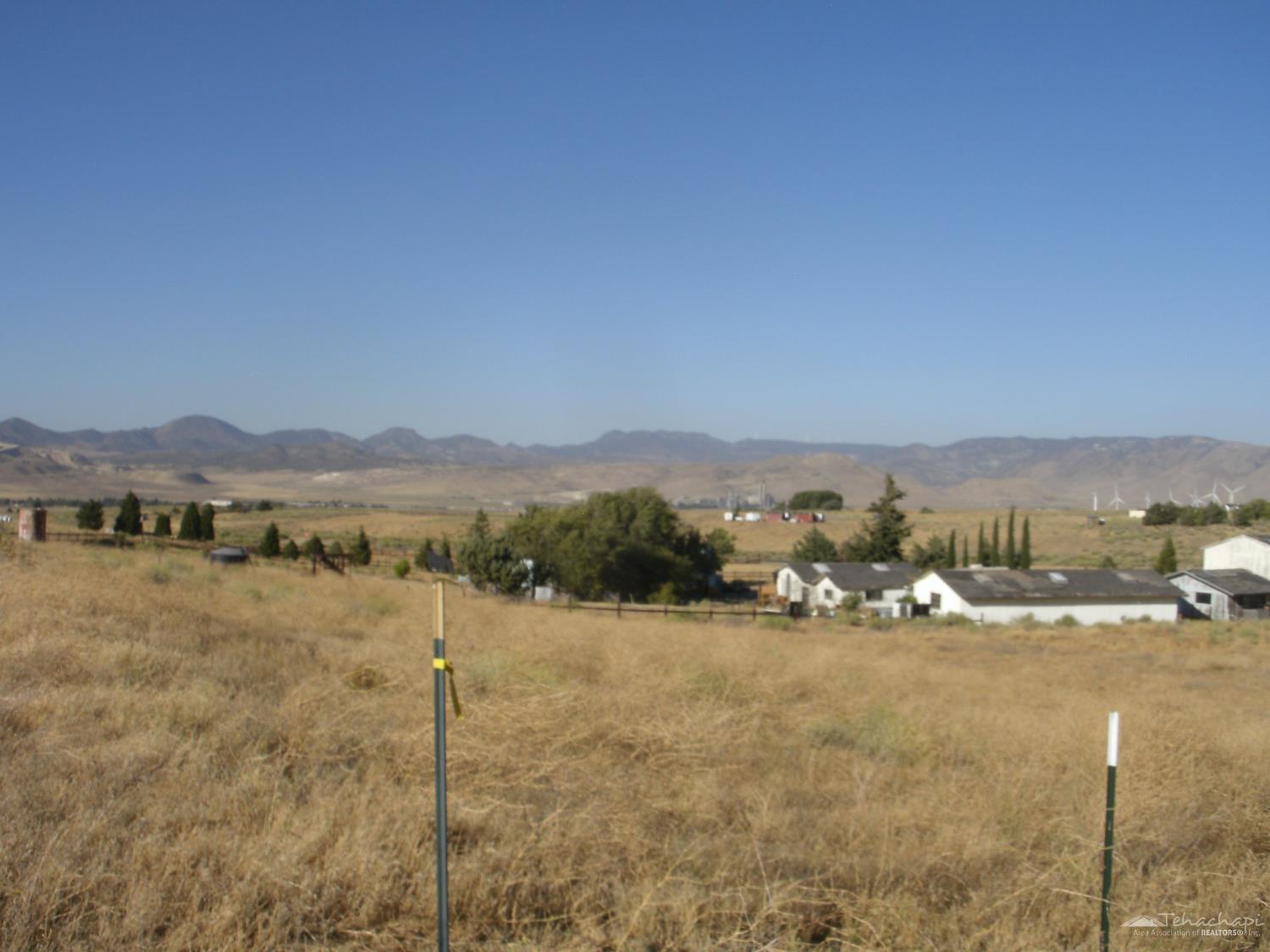 Pearce Drive Lot 167 photo 4
