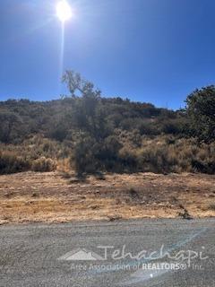 Alps Drive photo 2