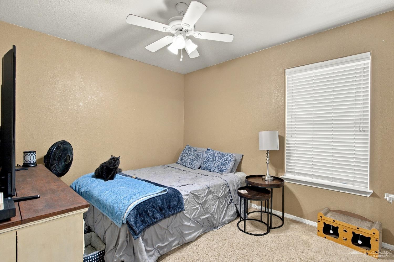 White Pine Drive #26 photo 19